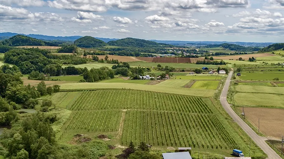 WINE ALIVE! in KURISAWA 2023