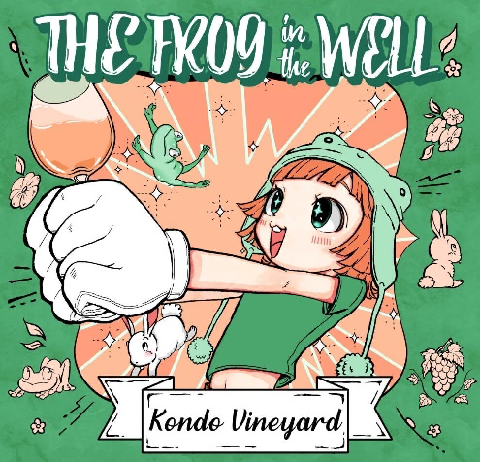 The frog in the well